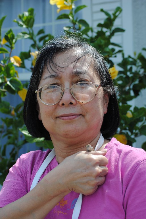 My Little Lizards -  2014